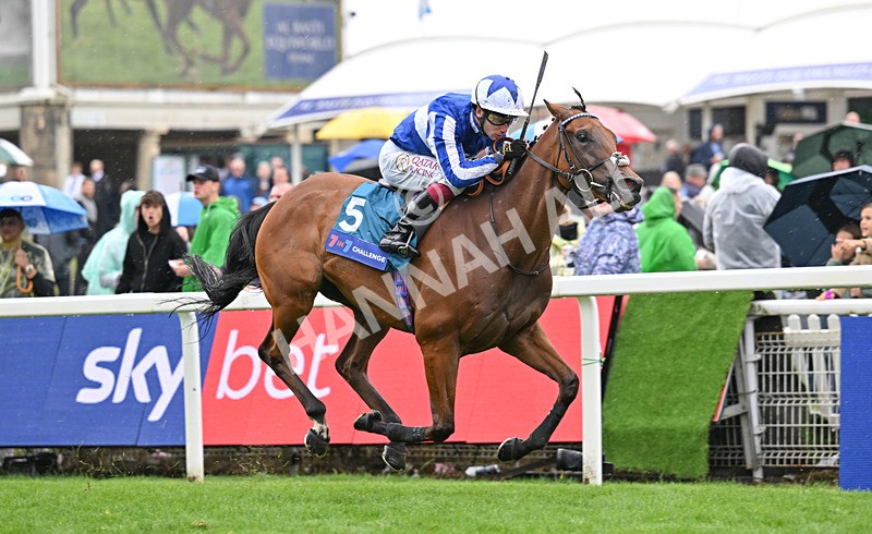 200826-064 The Lost King - Race 3 15.00pm Sir Kevin Sinfield 7 In 7 Grand Finale Handicap