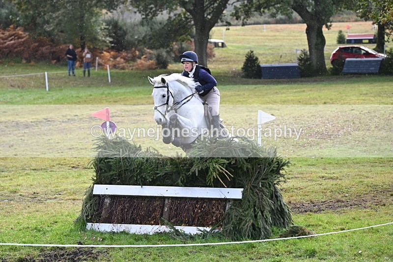 WJ6_2011 - 80cm Cam 1 Time 10:47 to 11:22