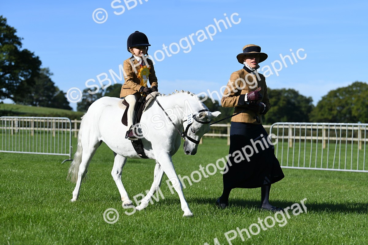 SBM_35512 - S17 - Condition & Turnout - Lead Rein