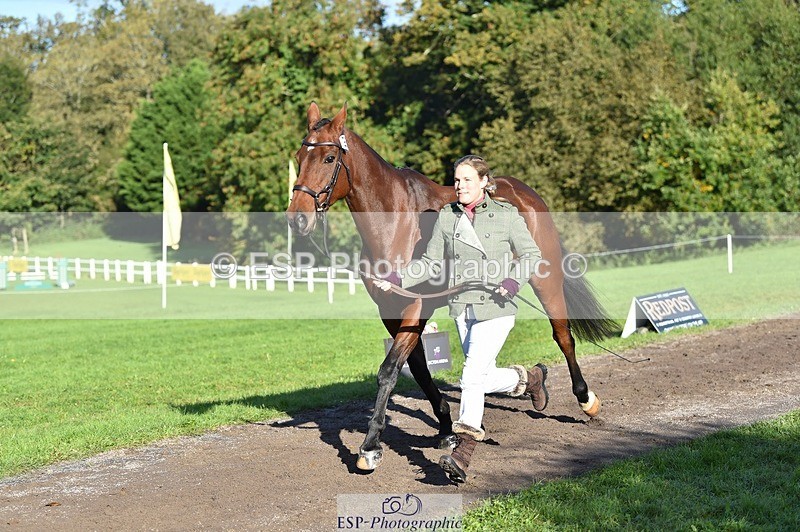 231022-102026-22423 - 433-WILLIAM-Laura.Sharpe-TrotUp+SJ