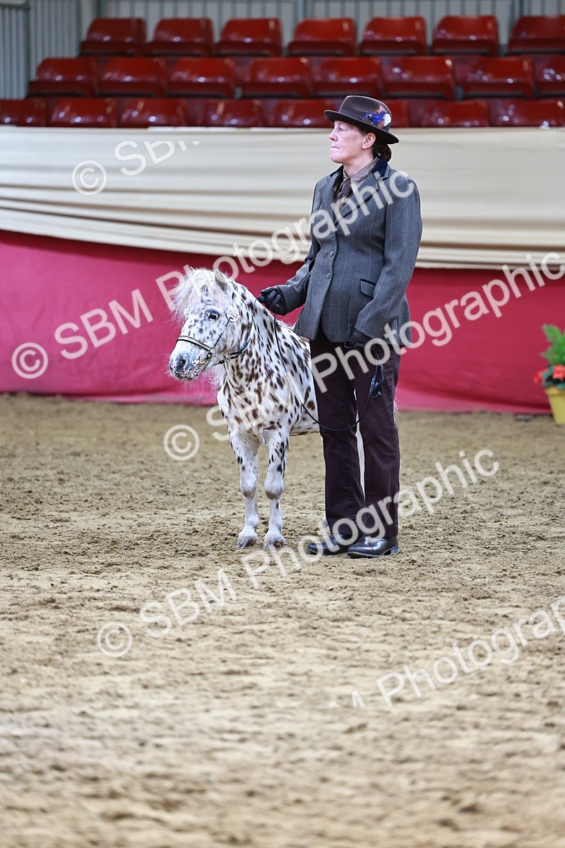 SBM_22319 - Class 902 - Supreme Final - IH Diamond