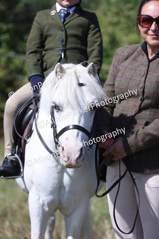 20250831-3188 - Class 24 - Absolute Beginners Pony