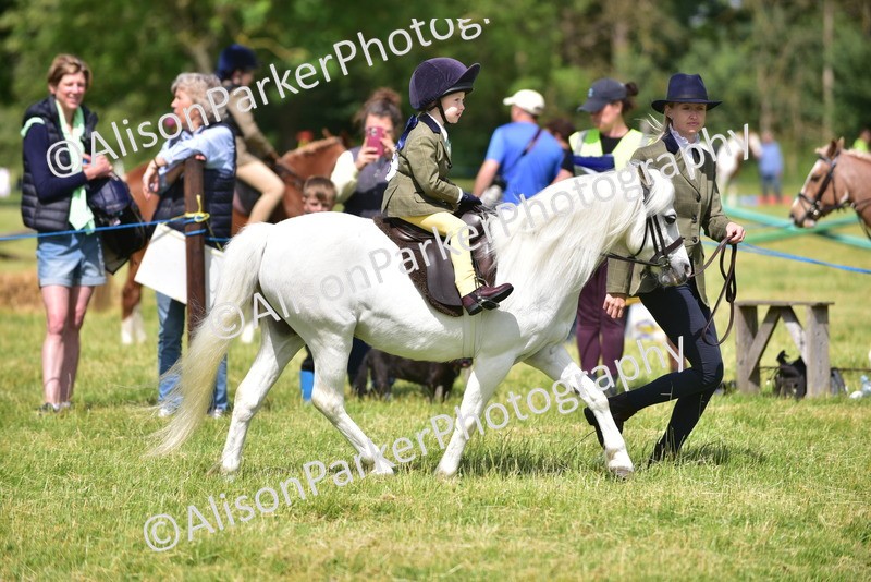 20260614-1166 - Class 11a - Lead Rein Pony (Unplaited)