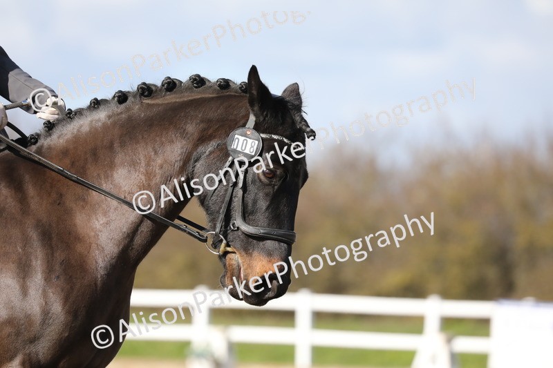 20260314-4861 - CT6 - Elementary 1