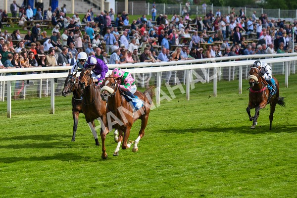 170523-Race 6-Mon Na Slieve-0787 - Race 6 4.45pm British EBF 40th Anniversary Novice Stakes