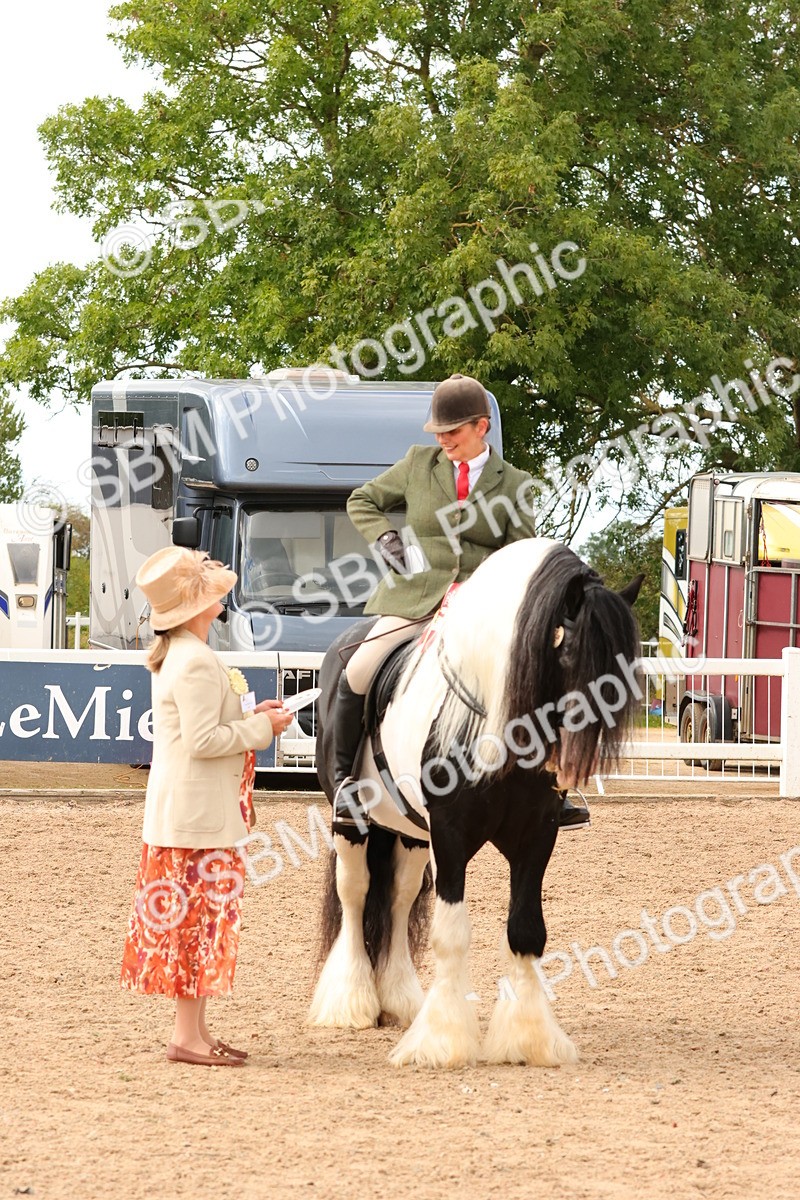 SBM_15713 - Class 215 - Ridden Traditional - Native Cobs