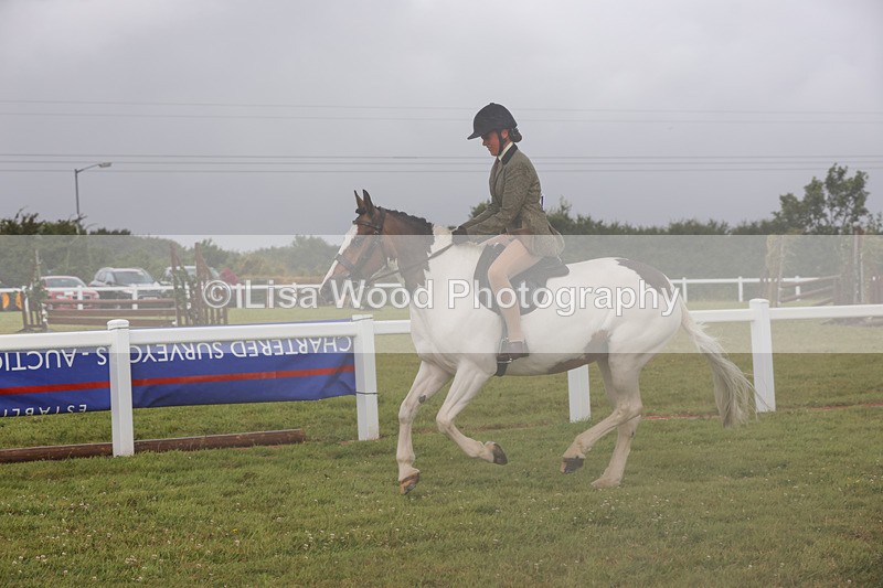 1X9A3021 - Class 26: Ridden Plaited Coloured Pony