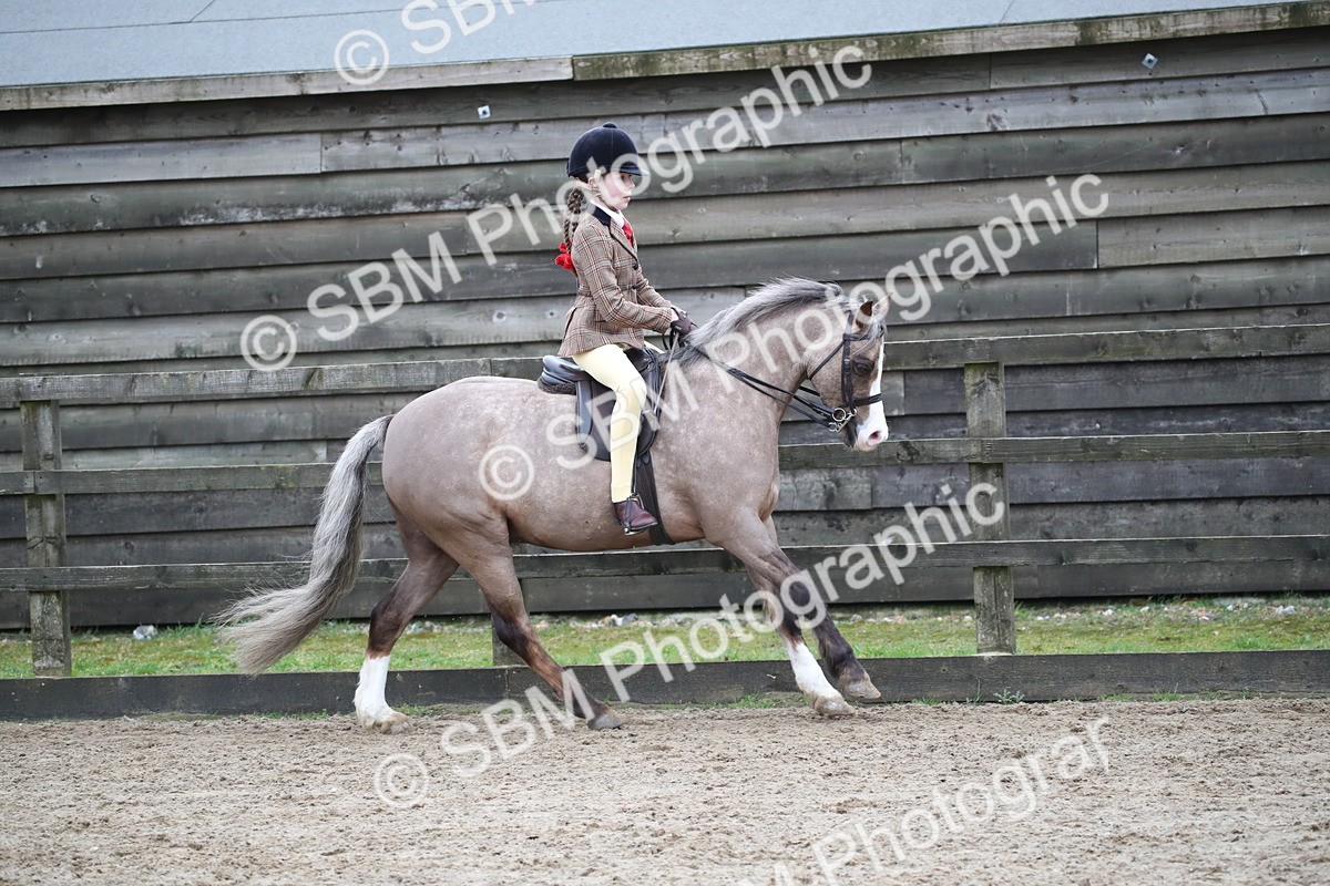 SBM_005927 - Class 10-13 - RIHS Small Large Breeds