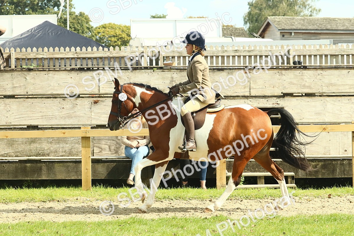 SBM_67509 - S56 - Coloured Pony Ridden