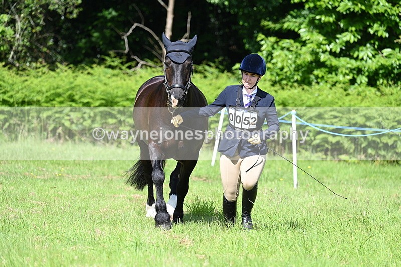 WJ7_1127 - Class 11 Condition & Turnout