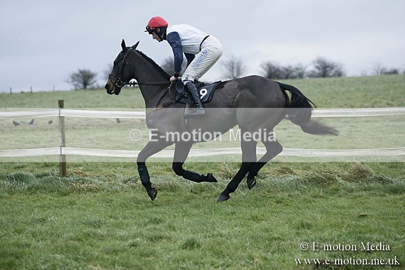 PtP 031217 833 - Hursley Hambledon Point-to-Point Larkhill 03/12/17