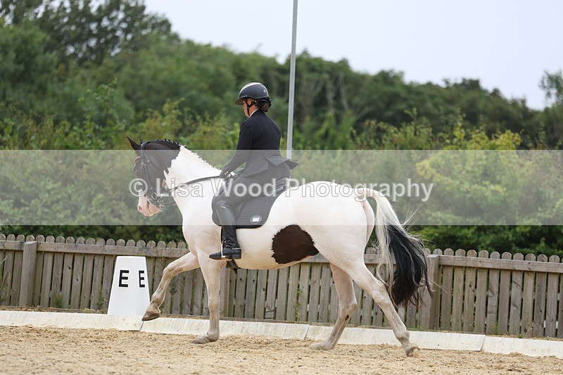 3E7A7365 - Class 9: Elementary 4 2024 - No sections