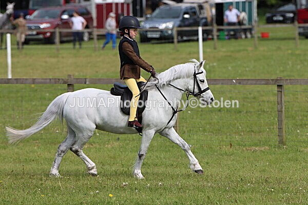 IMG_2227 - Working Hunter