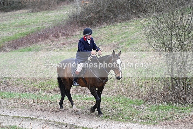 WJ7_7343 - Walk Home