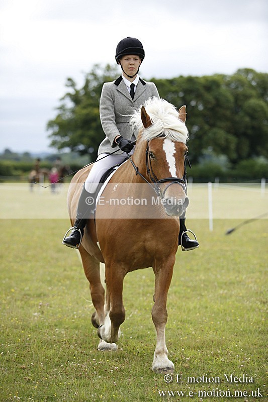 BVR160717-269 - Ring 1 BVRC Show 16/07/17