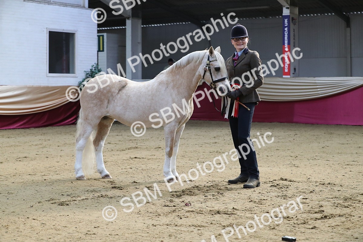 SBM_00314 - Class 1a - Area IH Diamond