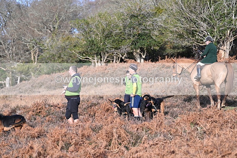 WJ7_7990 - Line 3 (no line 4 or 5)