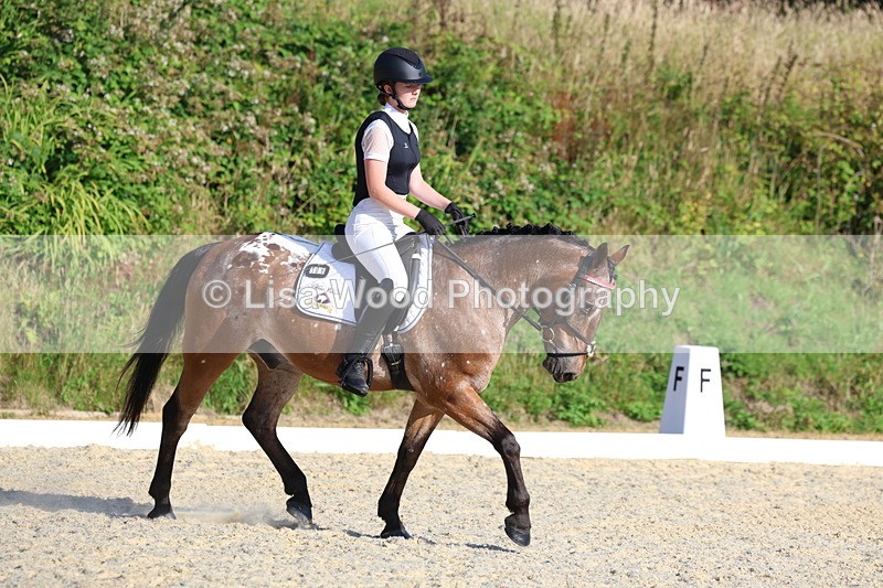 3E7A3618 - Class 2: Intro 1 2024 Section B