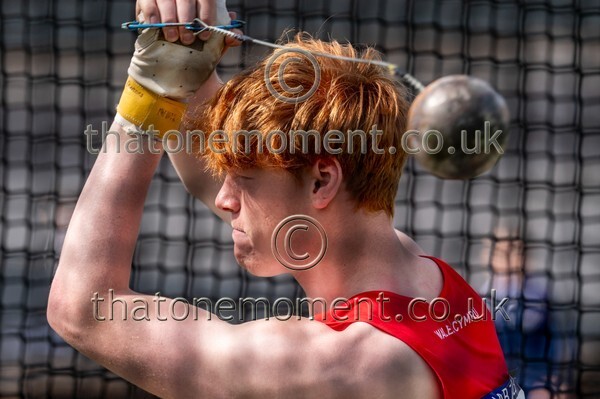 SIAB23-514871 - Field Male Set One