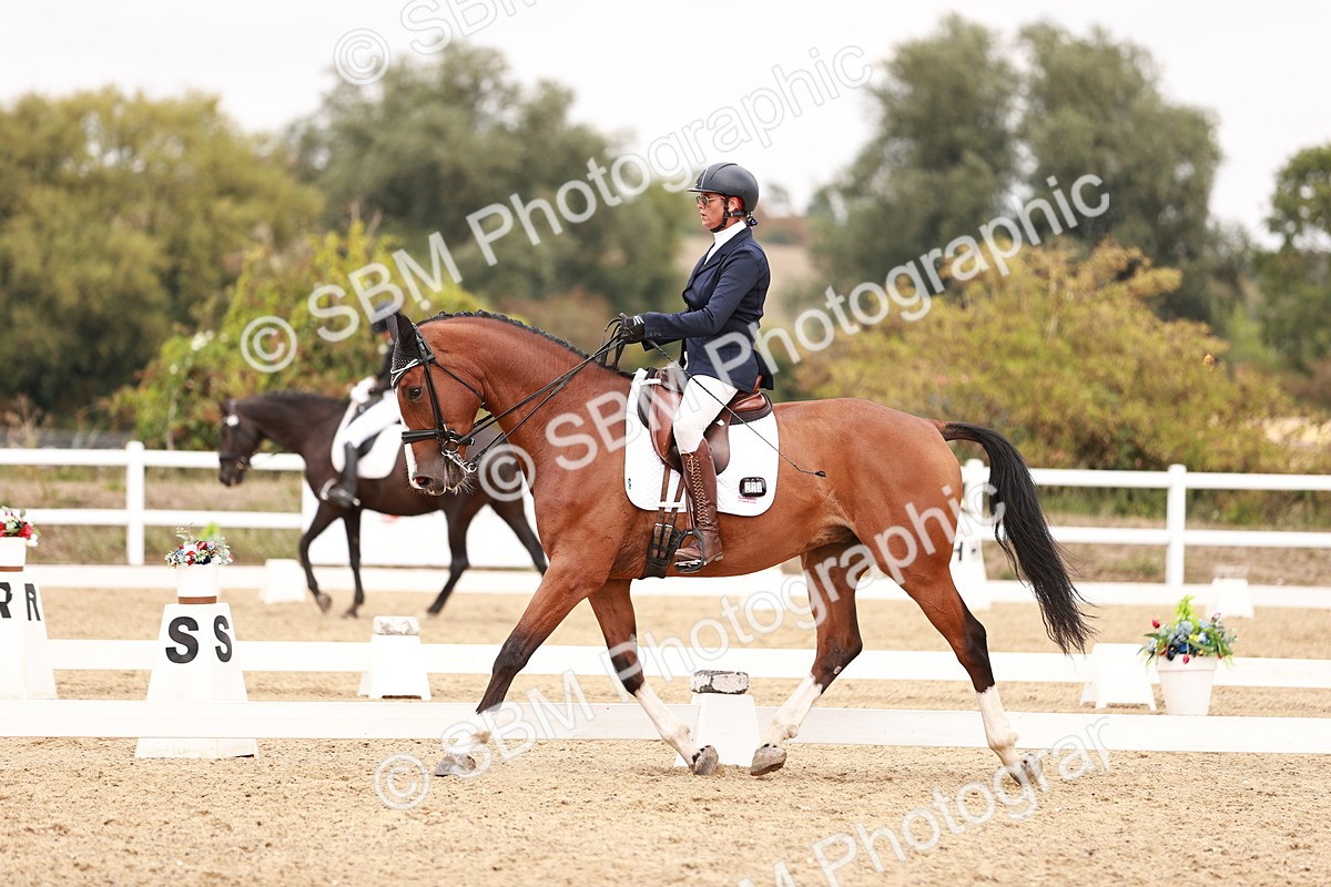 SBM_019252 - Class 20 - Medium 5