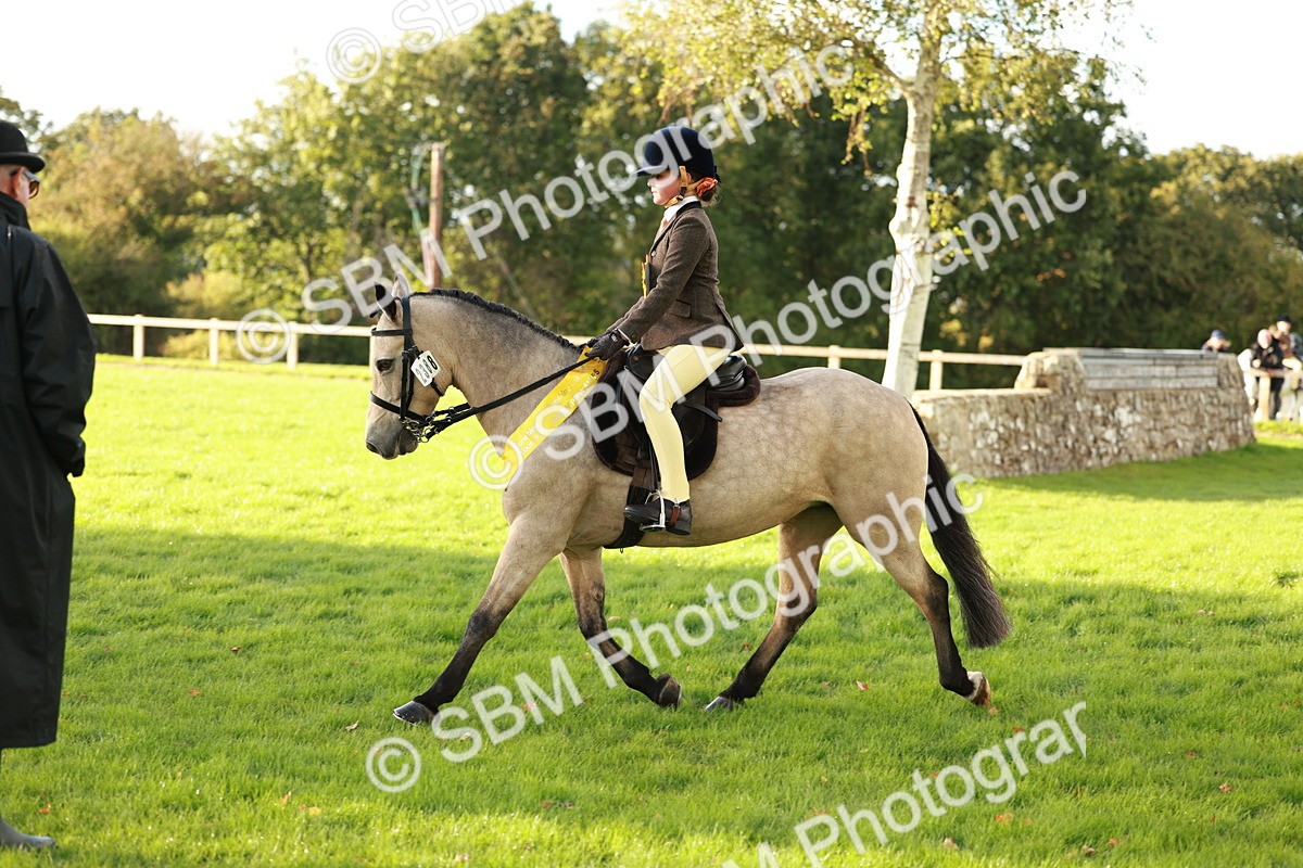 SBM_29275 - Novice & newcomer Supreme Championship