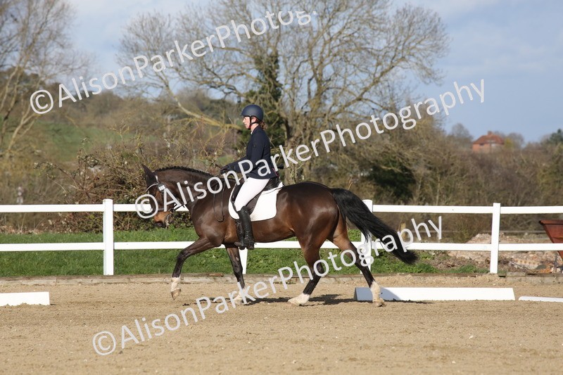 20260314-6011 - CT5 - Novice 2