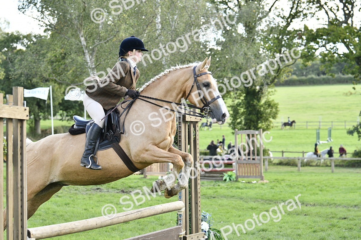 SBM_49957 - S34 - Novice & Newcomers Working Hunter