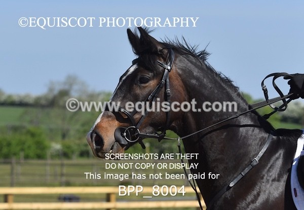 BPP_8004 - CLASS 2 Club/ Unaffiliated 80cms Open