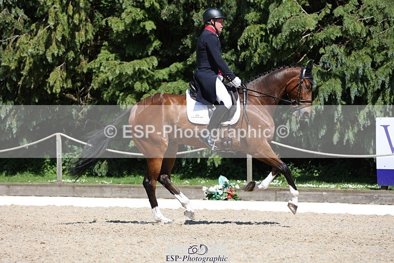 230526-145015-06561 - 375-FINLEY_DU_LOIR-Oliver_Townend-WEDTrotUp+DR