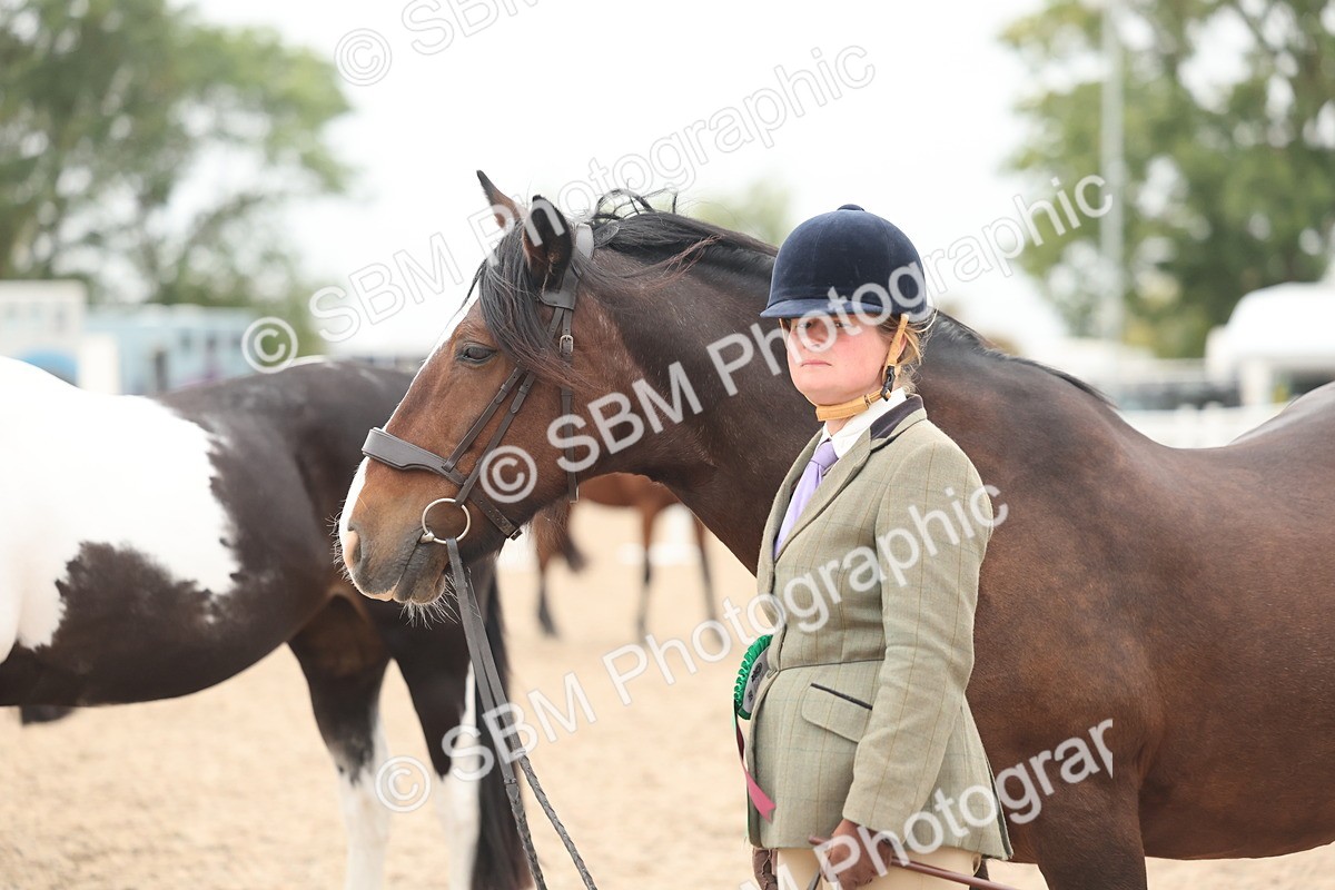 SBM_19911 - Class 318 - IH Part Bred Horse-Pony