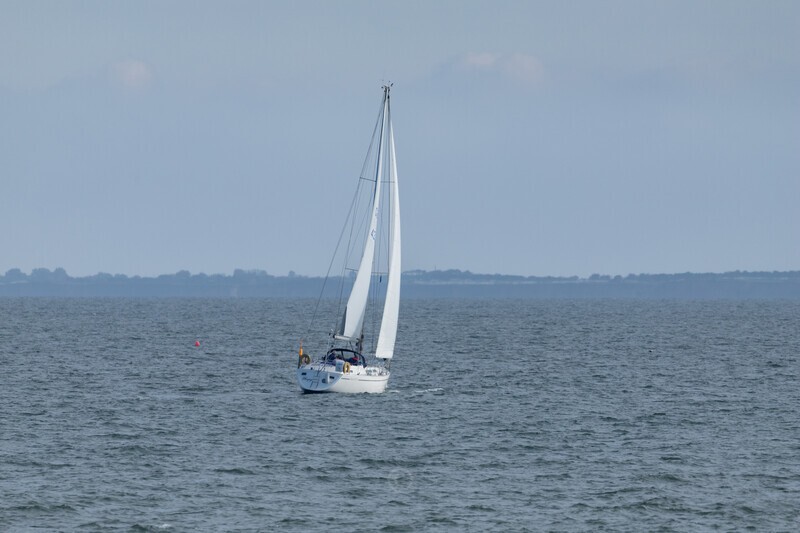 Whispy - Latest Images