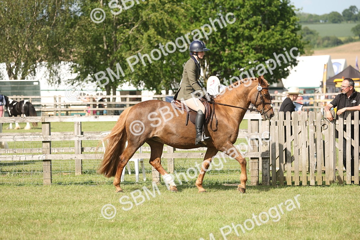 SBM_09741 - Class 33-38 - SSADL RIHS Qualifiers