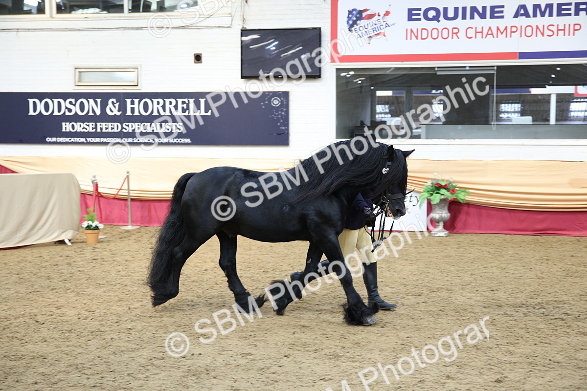 SBM_24285 - Class 905 - Supreme Final - Ridden Veteran