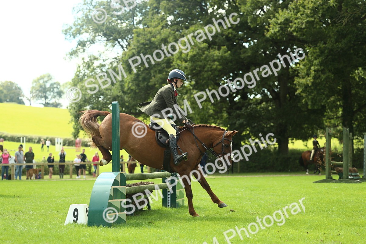 SBM_44572 - S31 - Working Hunter Pony