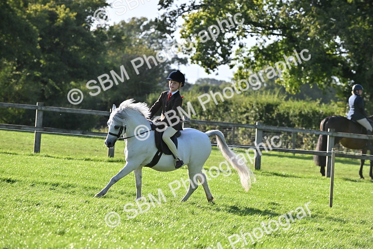 SBM_53013 - S23 - First Ridden Mountain & Moorland Pony