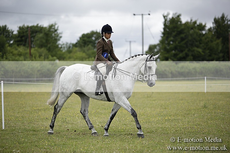 BVR160717-2094 - Ridden Championship 16/07/17