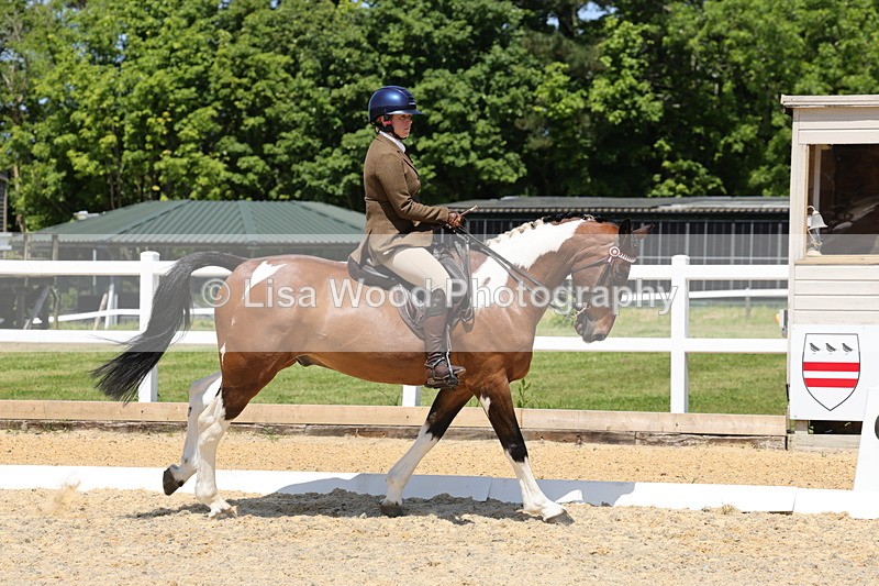 1X9A1843 - Class 12: Ridden Riding Horse/Hack