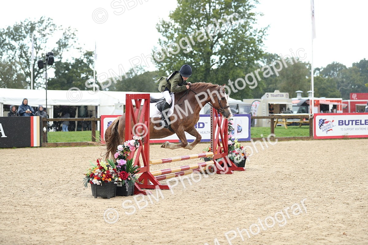 SBM_37191 - J20 - Junior Horse 50cm Championship