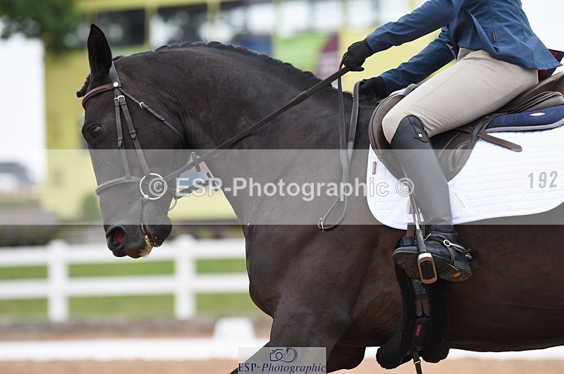 230708A-110154-01495 - Prelim 7