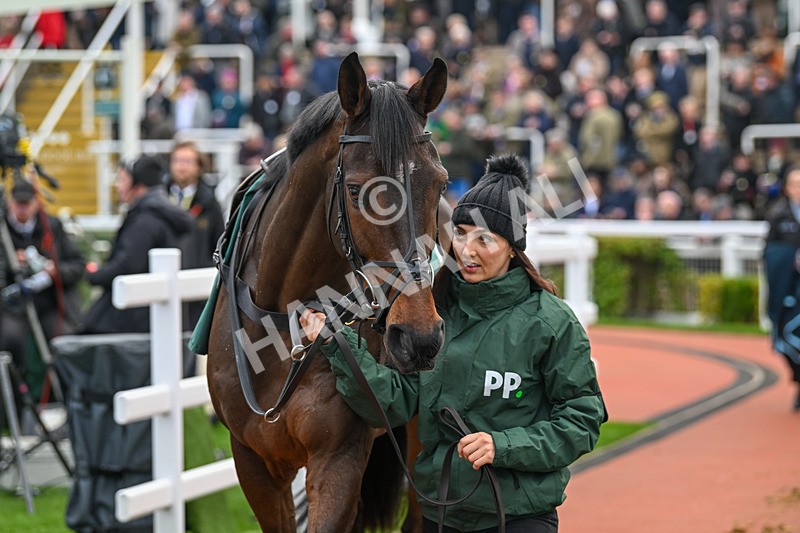 161124-Race 4-Paddock-Protektorat-0325 - Race 4