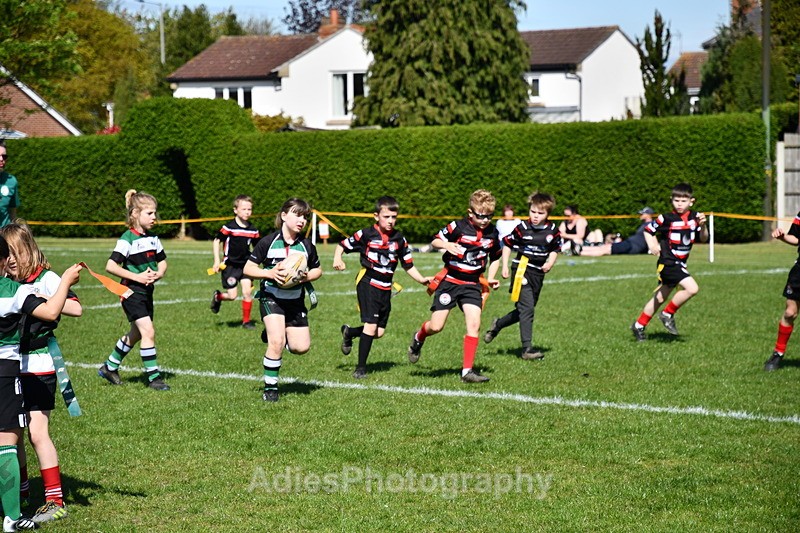  - Selby Rugby Festival 2025