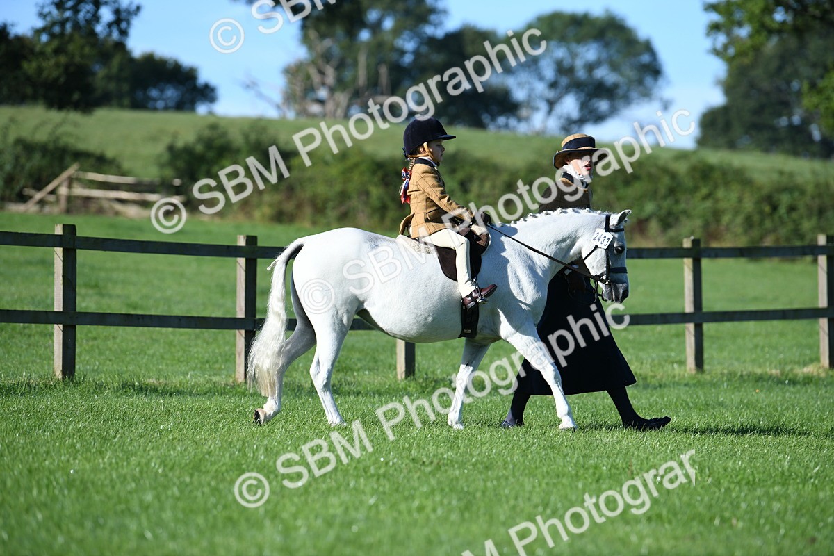 SBM_35296 - S17 - Condition & Turnout - Lead Rein