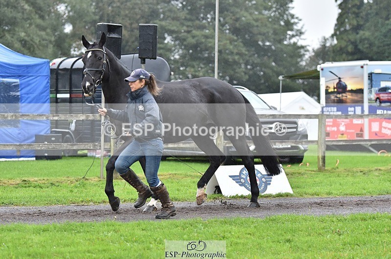 231018-122740-00305 - 037-MISTER.KAI-Hani.Milstein-TrotUp