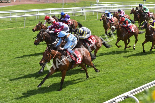 yr13052021r1-35 - Race 1 1.40pm The Matchbook Betting Exchange Stakes