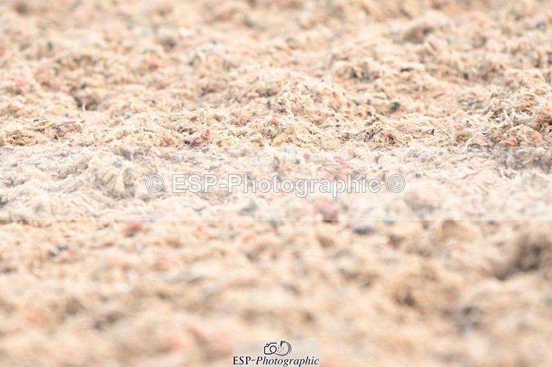 250620-102747-02612 - BD Cls 4 - Novice 5, Start to 11.30am