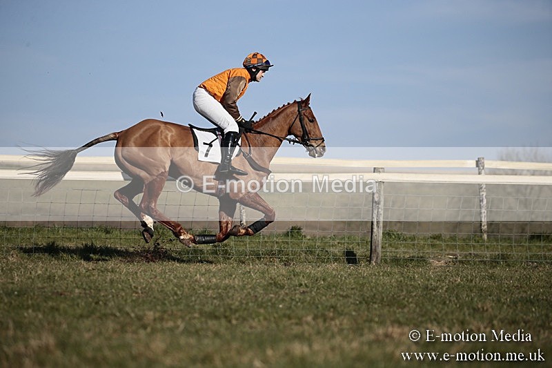 PtP 240218 472 - Vine & Craven Hunt Point-to-Point Barbury racecourse 24/02/18