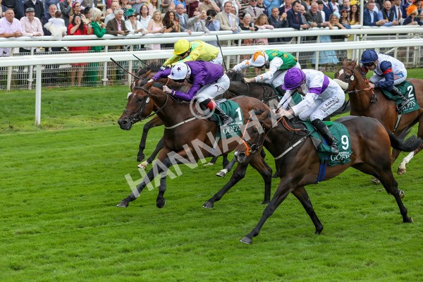 220824-Race 2-Diligently-7630 - Race 2 2.25pm Harry's Half Million By Goffs Premier Yearling Stakes