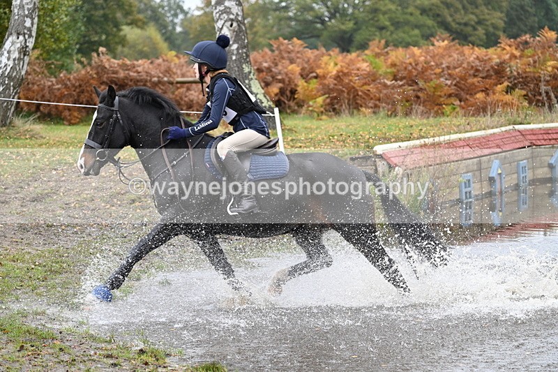 WJ7_1222 - 80cm Cam 2 Water Time 11:29 to 11:46