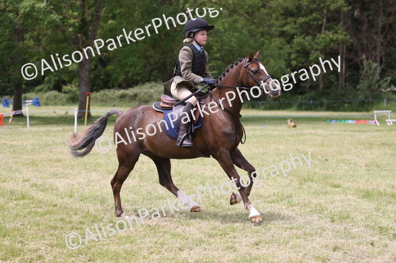 20260614-2848 - Class 22 - Open Working Hunter