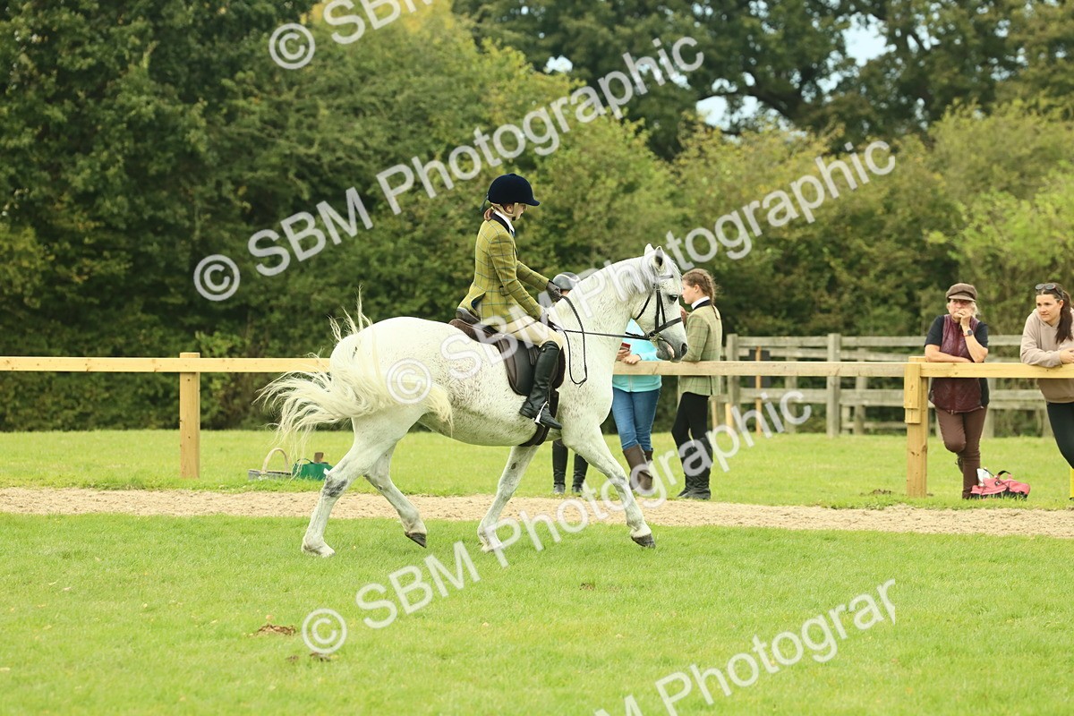 SBM_72042 - S60 - Mountain & Moorland Ridden Large Breeds